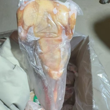 原粮鸽子