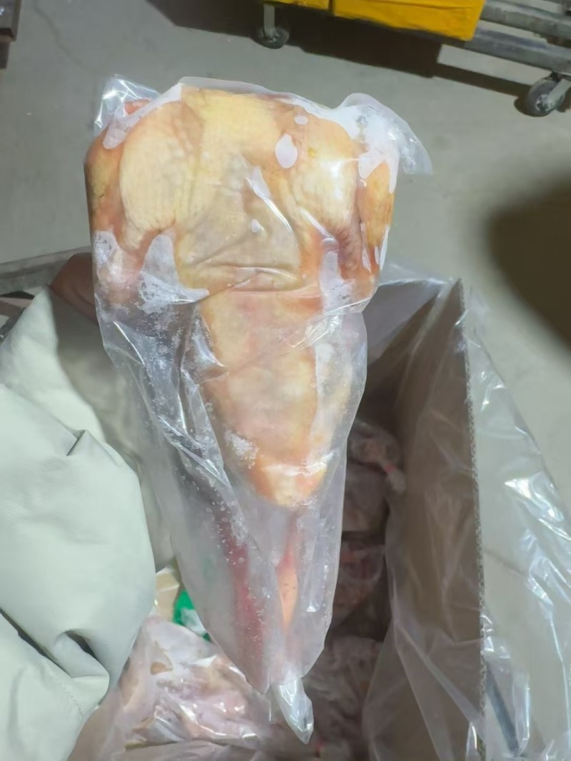 原粮鸽子