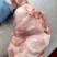 四号肉