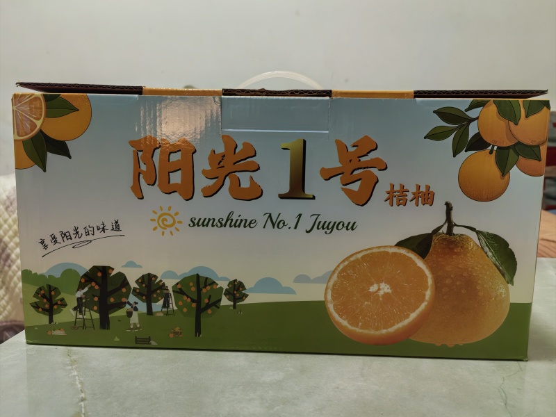 阳光一号桔柚