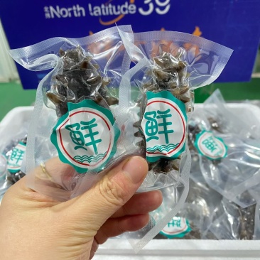 威海即食海参4.86一只
