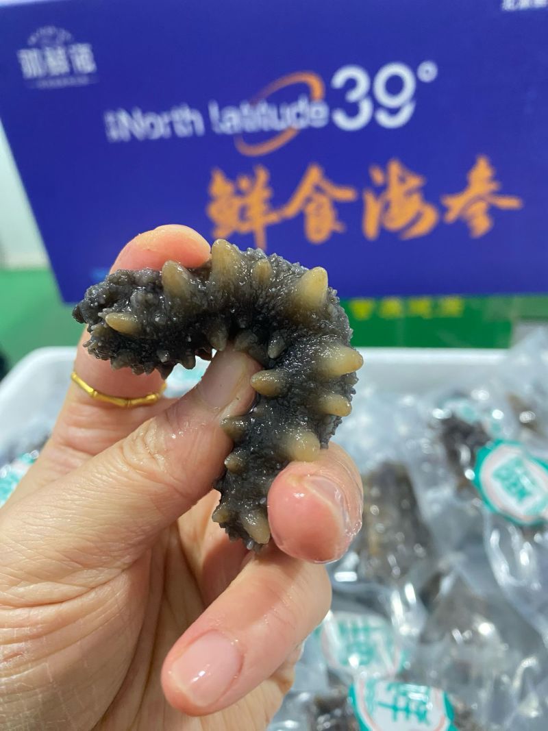 威海即食海参4.86一只