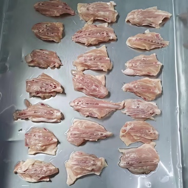 鸡背肉规格齐全一级二级