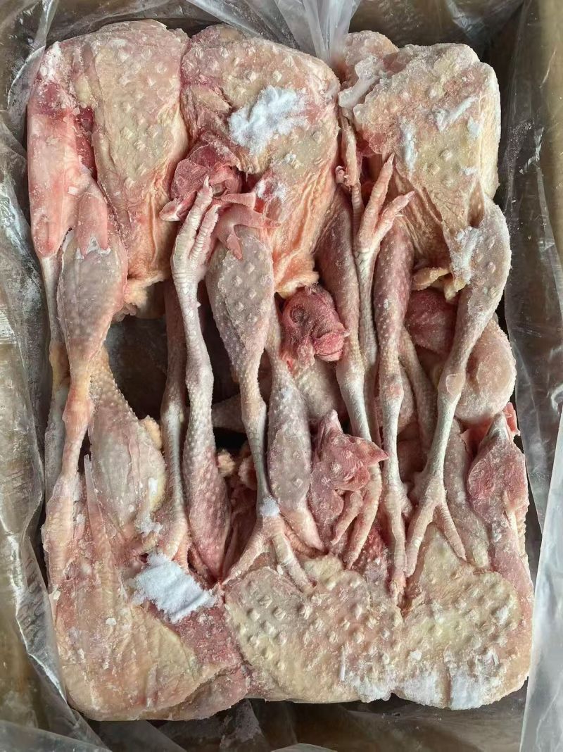 白毛老母鸡红毛老母鸡一级二级规格齐全