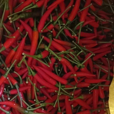 小米辣椒