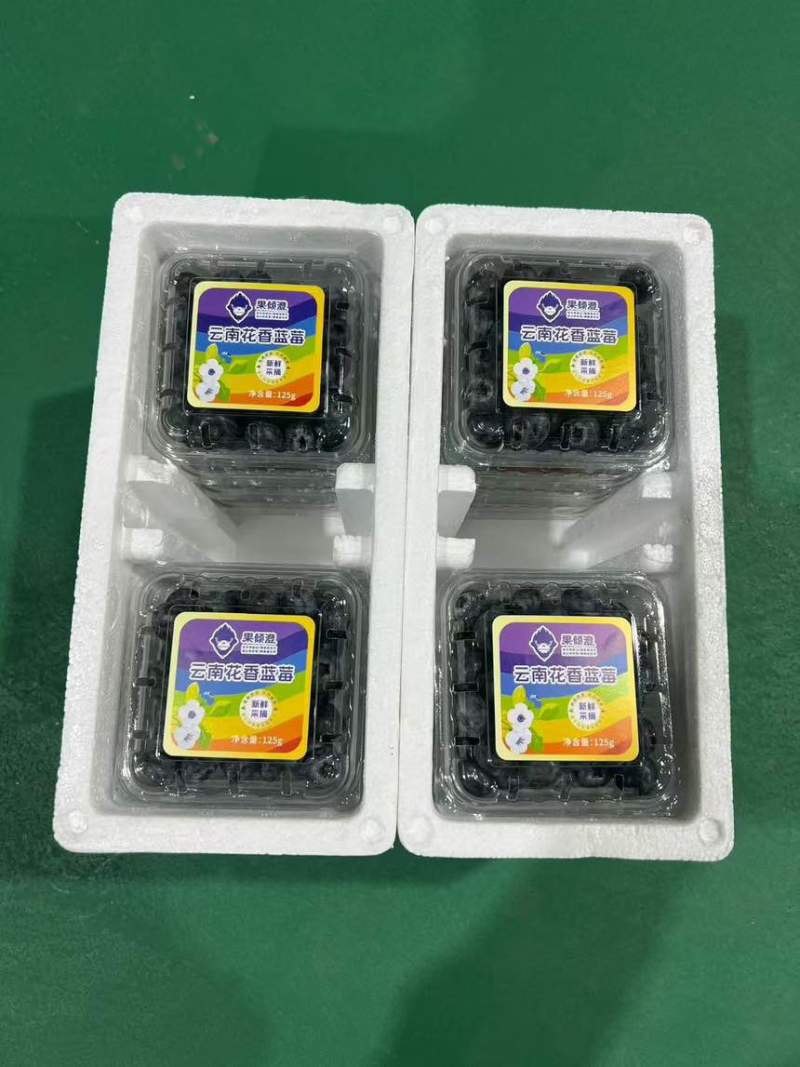 105花香蓝莓电商代发