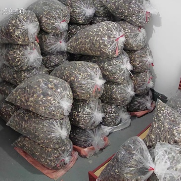 羊肚菌品质保障服务周到产地直发价格美丽欢迎联系
