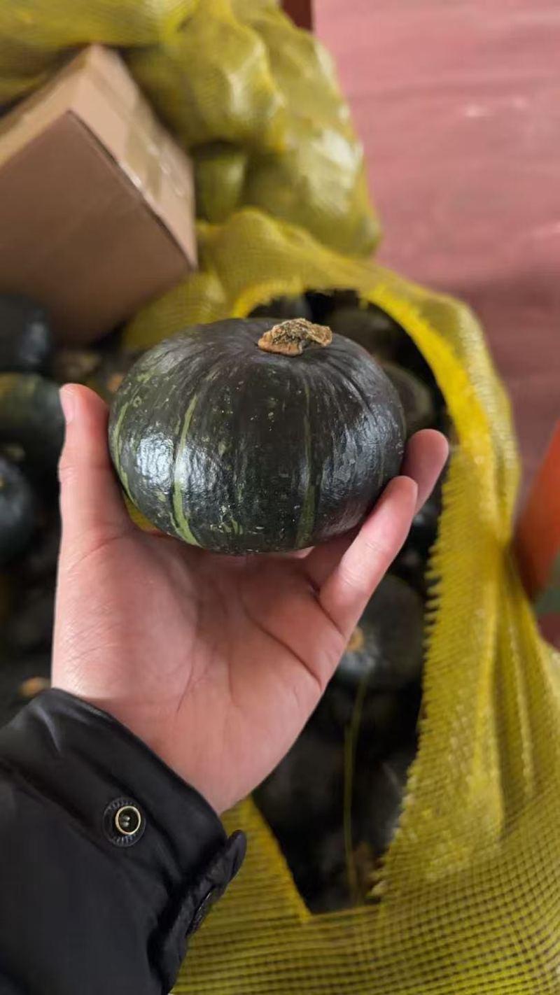 贝贝南瓜电商一件代发