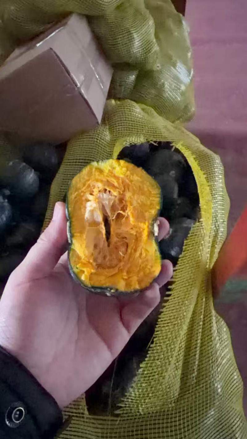 贝贝南瓜电商一件代发