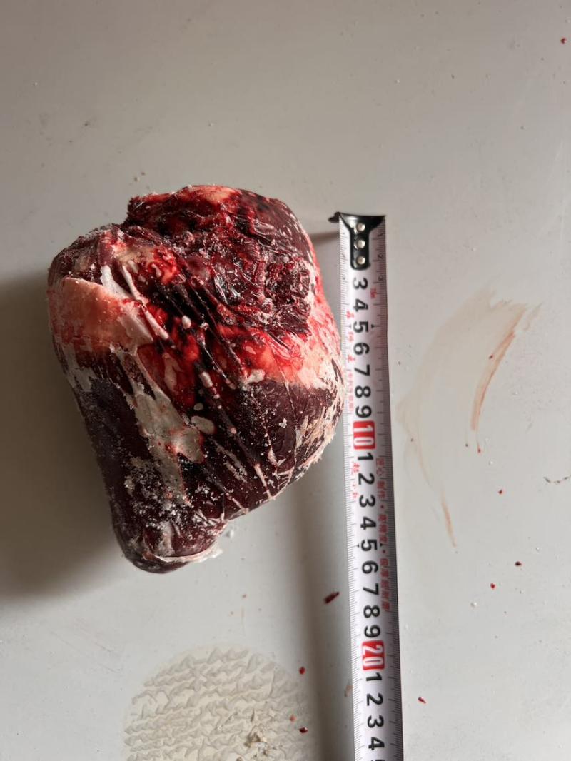 鹿心