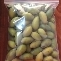 橄榄