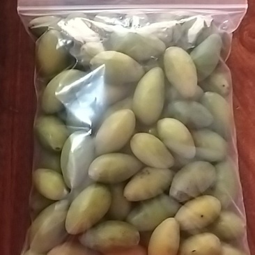 橄榄