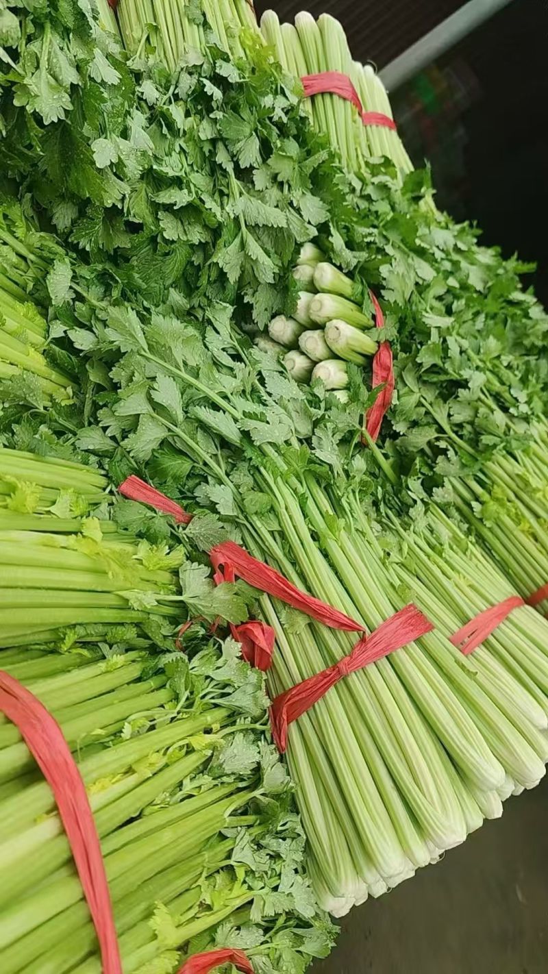 大芹菜