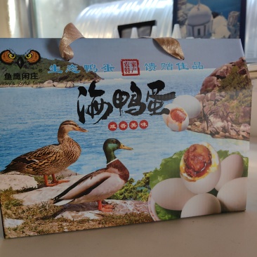 广东惠州海鸭蛋