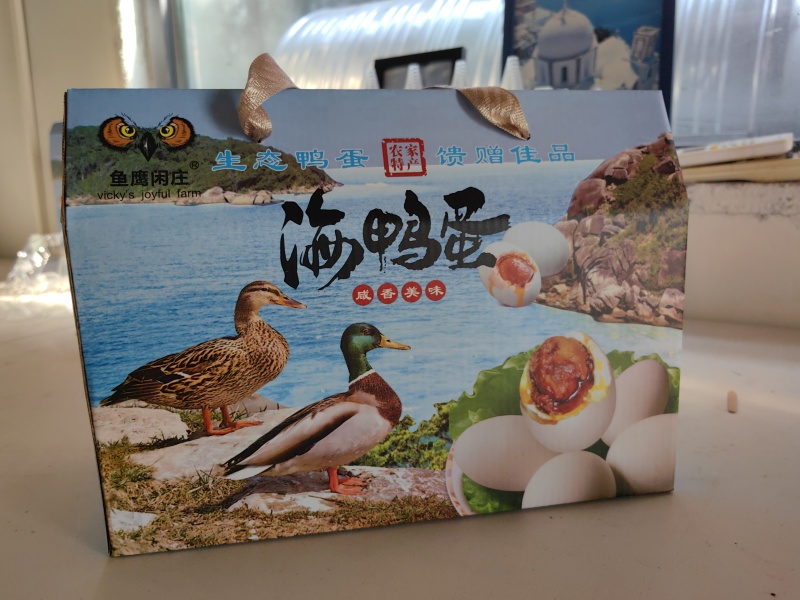 广东惠州海鸭蛋