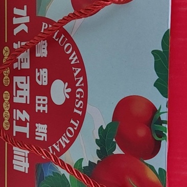 陕西泾阳普罗旺斯水果西红柿
