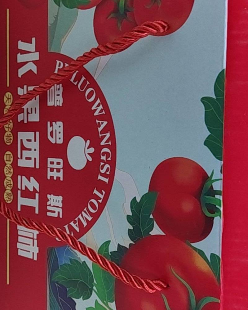 陕西泾阳普罗旺斯水果西红柿