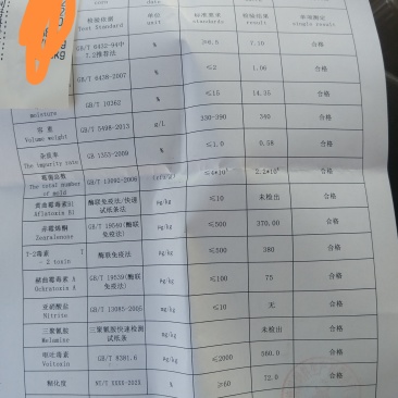 玉米压片