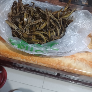 浙江货全开精品干蚯蚓市场价多少钱一公斤？