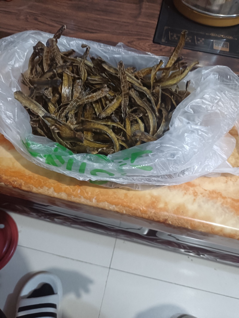 浙江货全开精品干蚯蚓市场价多少钱一公斤？
