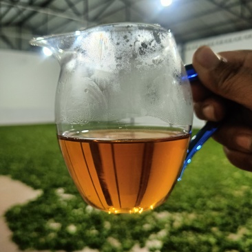 云南野生古树红茶