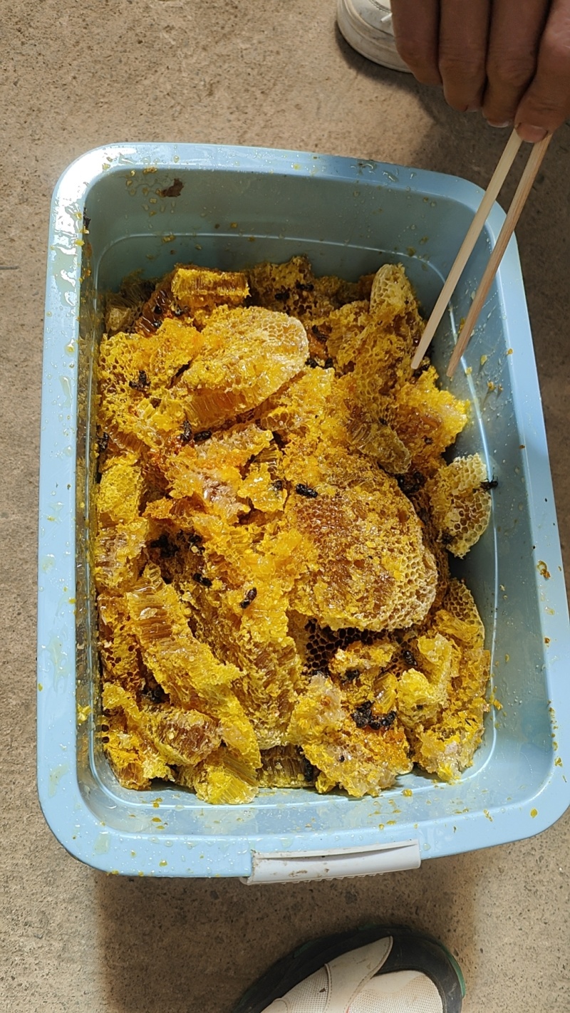土蜂蜜