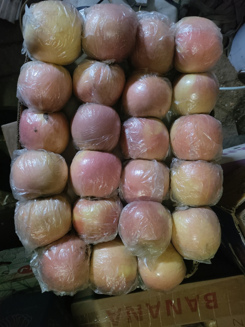 父亲苹果(每个重量在7两左右)