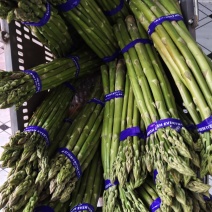 山东省临沂市费县芦笋种植基地