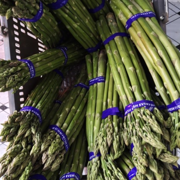 山东省临沂市费县芦笋种植基地