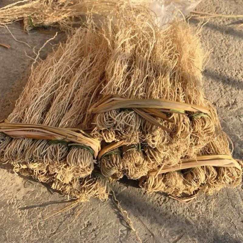 龙须草养肝草龙须根产地直销直供一手货源货源稳定保质保量