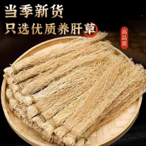 龙须草养肝草龙须根产地直销直供一手货源货源稳定保质保量
