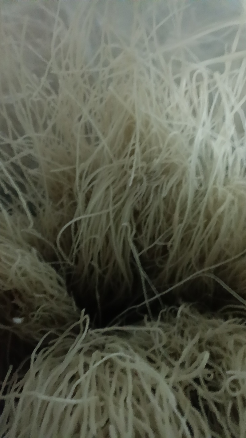 纯红薯粉条