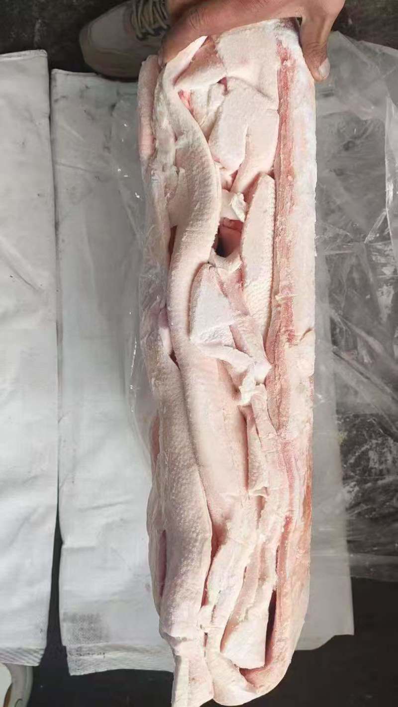 肥猪二级肥膘