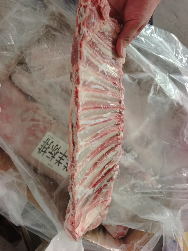 多肉羊寸排
