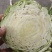 湖北甘蓝