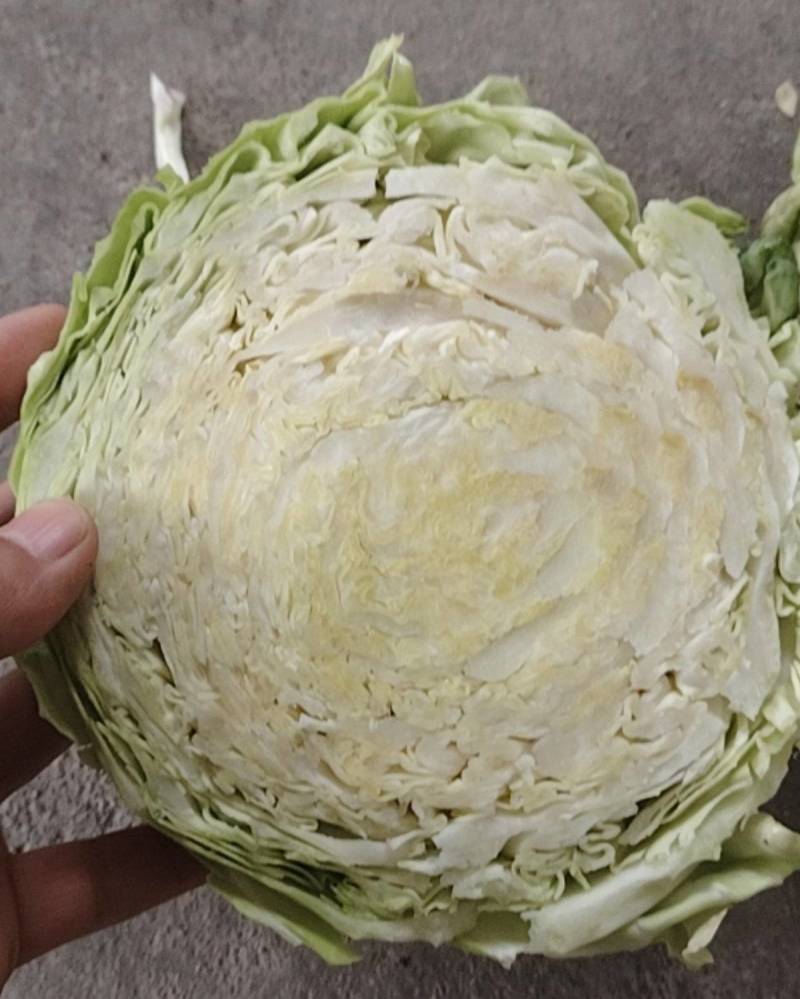 湖北甘蓝