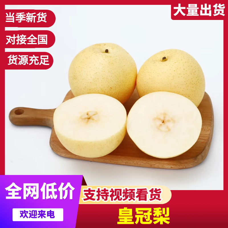 河北石家庄精品皇冠梨品质好价格好对接全国客商欢迎咨
