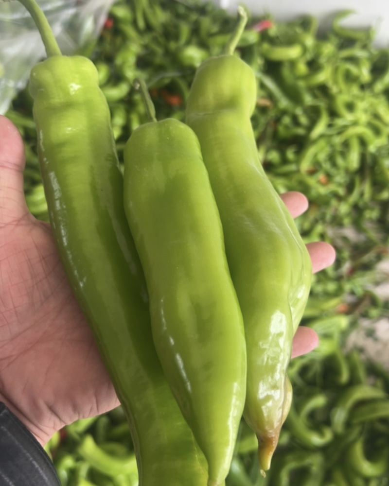 电商辣椒