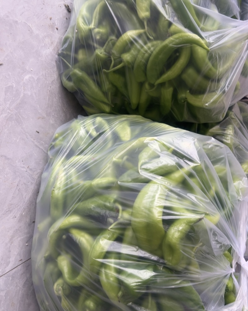 电商辣椒