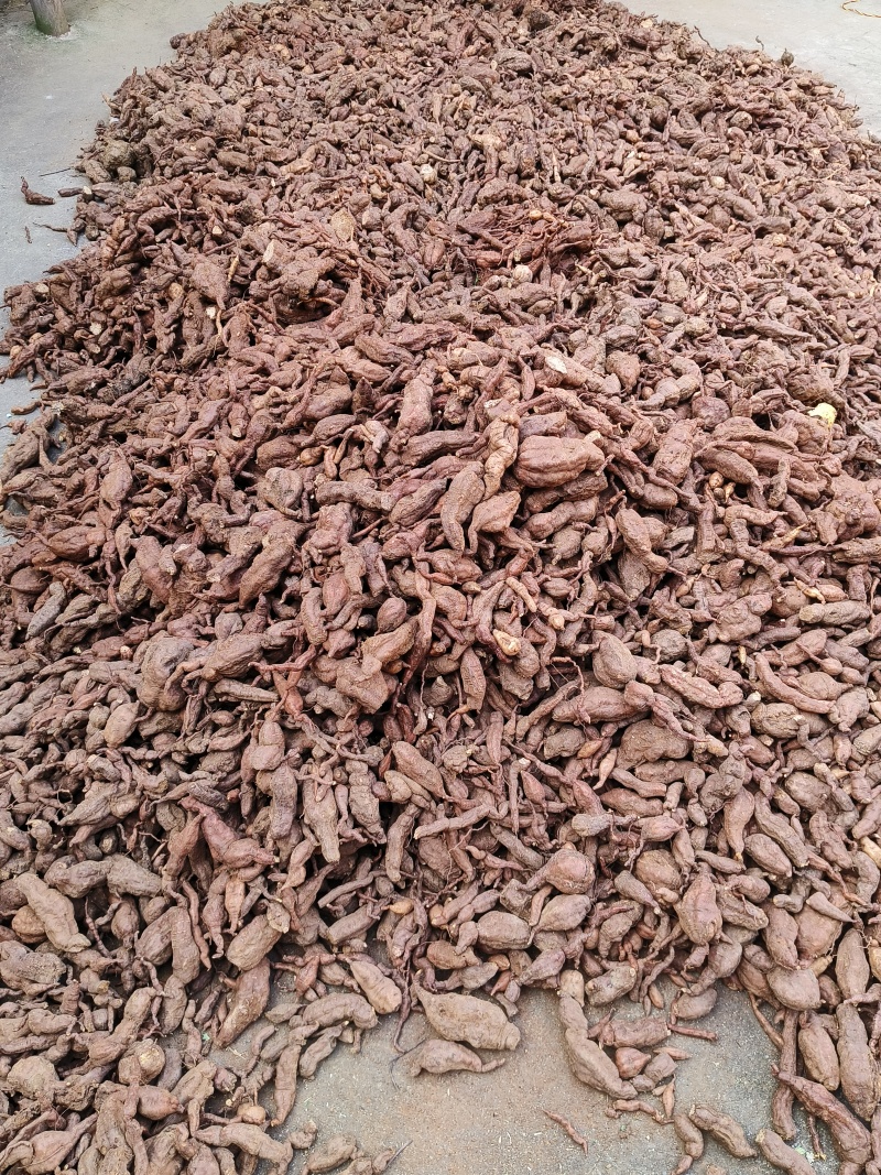 何首乌干片，自家种植，纯有机，***硫