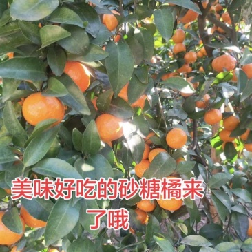 **好吃