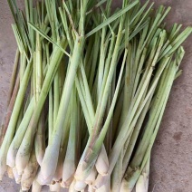 柠檬香茅草