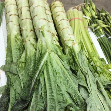 新鲜蔬菜