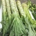 新鲜蔬菜