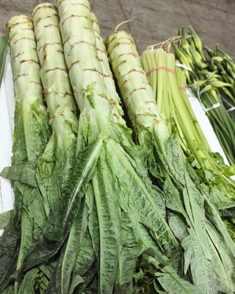 新鲜蔬菜