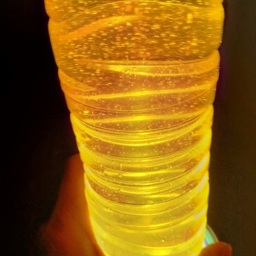 正宗野生小籽山茶油