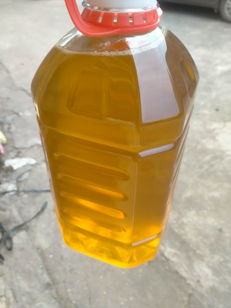 正宗野生小籽山茶油