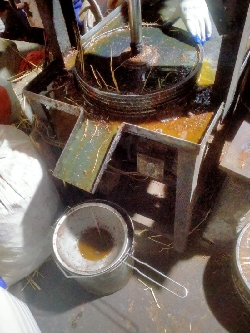 正宗野生小籽山茶油