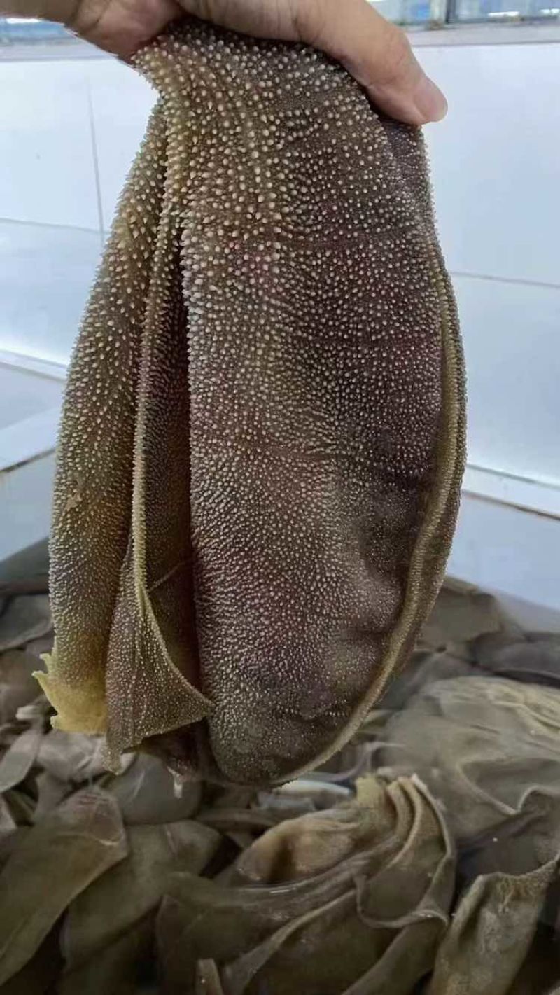 整肚ABC