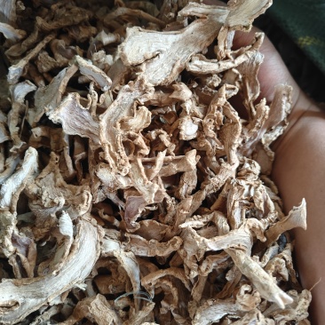 云南丽江精品老姜姜片，片大干净！